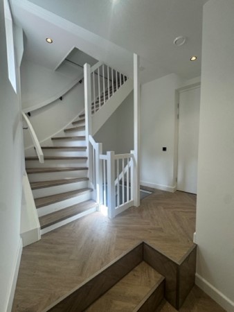 IMG_5611 Medium.jpeg